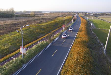 重庆市农村公路条例2026全文