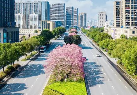 包头市市政设施管理条例2026全文