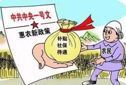 农村补贴