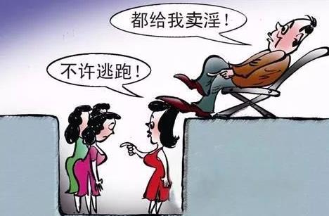 协助组织卖淫罪立案标准与量刑标准2026年